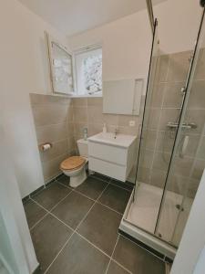 łazienka z toaletą i przeszklonym prysznicem w obiekcie logement indépendant avec terrasse "Les Mésanges" w mieście Juvignac