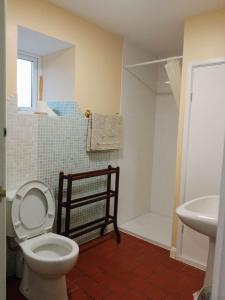 a bathroom with a toilet and a shower and a sink at Dolphins Backpackers in Tintagel