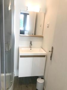 a white bathroom with a sink and a shower at Studio avec jardin clos et wifi a Rennes in Rennes