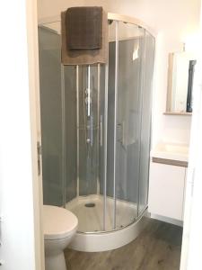 a bathroom with a shower and a toilet at Studio avec jardin clos et wifi a Rennes in Rennes