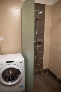 a washing machine in a bathroom with a shower at Penzion Na výminku in Veselí nad Moravou