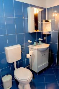 La salle de bains est pourvue de carrelage bleu, de toilettes et d'un lavabo. dans l'établissement Studio Bucuria Corbu, à Corbu