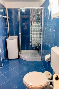 La salle de bains est pourvue de carrelage bleu, de toilettes et d'une douche. dans l'établissement Studio Bucuria Corbu, à Corbu