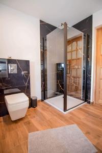 a bathroom with a toilet and a glass shower at Apartamenty u Burego in Biały Dunajec