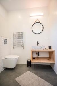 a bathroom with a sink and a toilet and a mirror at Apartamenty u Burego in Biały Dunajec