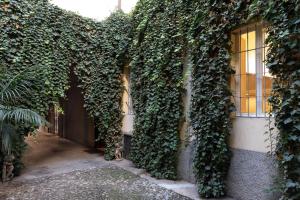an ivy covered wall of a building with windows at Palazzo Liberati Apartments in Parma