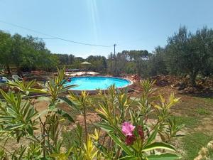 Bazén v ubytování Casa di Nonna, Holiday Villa Apartment nebo v jeho okolí