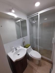 y baño con aseo, lavabo y ducha. en Holiday Homes Cabañas El Vergel, en Osorno