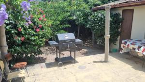 Zahrada ubytování Casa Lidia + 14 fotografií