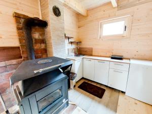a kitchen with a stove in a wooden cabin at Dušan_guest_house in Kolašin