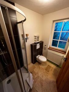 ein Bad mit einem WC und einer Dusche mit einem Fenster in der Unterkunft Gästezimmer Grundmühle in Nordheim vor der Rhön