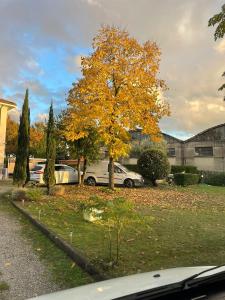 GallenoにあるGalleno houseの車寄せの庭の黄木