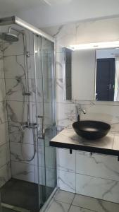 La salle de bains est pourvue d'un lavabo et d'une douche en verre. dans l'établissement Serenita verde Apartment, à Poros