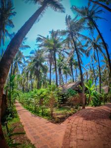 a brick path with palm trees in the background at The Orchard Resort in Belgaum