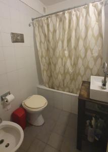 y baño con aseo, lavamanos y cortina de ducha. en Cozy apartamento en Belgrano en Buenos Aires