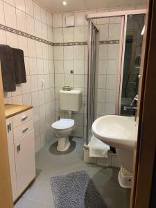 a bathroom with a toilet and a sink at Ferienhaus Elisa in Trittenheim