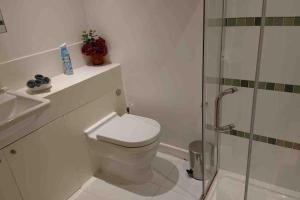 a white bathroom with a toilet and a shower at A beautiful and cozy home in the heart of london in London