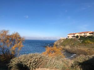 a large body of water with houses on a cliff at Appartement vue mer les pieds dans l'eau in Collioure