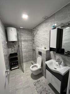 a bathroom with a toilet and a sink at Apartmani Stari Aerodrom in Podgorica +17 photos