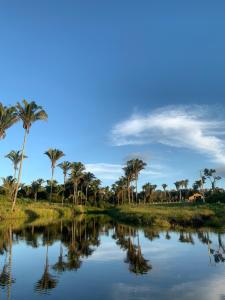 a river with palm trees and a blue sky at Chalés Recanto in Guaraciaba do Norte