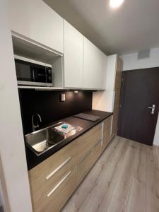Kuchyň nebo kuchyňský kout v ubytování Apartmán Paula 2