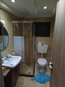 a bathroom with a shower and a toilet and a sink at Villa Gianna in Karpenisi