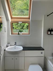 a bathroom with a sink and a toilet and a window at Beautiful Annex Apartment with off street parking in Potters Bar