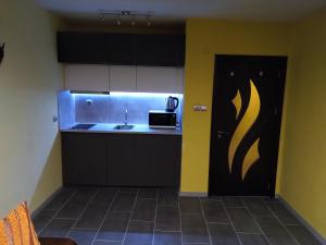 A kitchen or kitchenette at Eli Apartment Burgas Center
