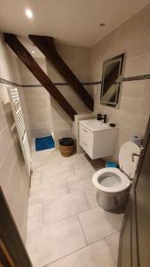 ノジャン・シュル・セーヌにあるMaison tout confort centre de Nogent sur Seineの白いバスルーム(トイレ、シンク付)