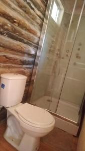 a bathroom with a toilet and a shower at Cabaña Don Pepe, en Estancia Don Domingo in Curicó