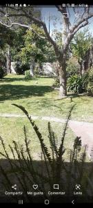 una sombra de una planta en un patio en Lo De Miriam en Mar del Plata