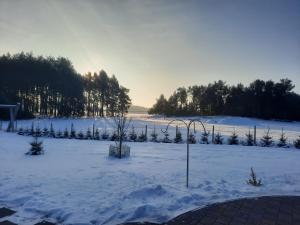 Obiekt Domek do wynajęcia - Siedlisko przy lesie zimą