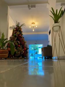 卡利Hotel Orquídea Real的相册照片