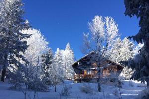 domek z bali na śniegu z drzewami pokrytymi śniegiem w obiekcie Chalet Les Airelles w mieście Montcel