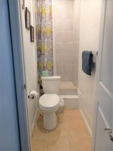 a small bathroom with a toilet and a shower at Niagara Getaway in Niagara Falls