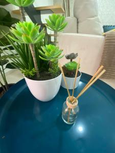 a blue table with two potted plants and wooden chopsticks at Casa da Ribeira - Mosteiros in Mosteiros