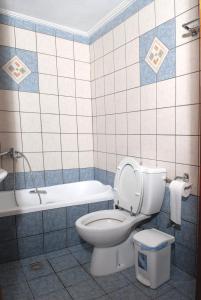 a bathroom with a toilet and a bath tub at Zouzoula House in Milína