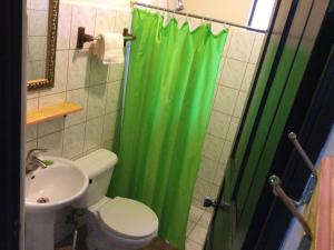 La salle de bains est pourvue d'un rideau de douche vert et de toilettes. dans l'établissement Villas el Cenizaro, à La Garita