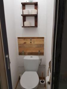a bathroom with a white toilet in a room at Studio agréable in Les Contamines-Montjoie