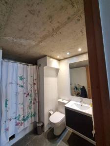 a bathroom with a toilet and a sink and a mirror at Loft Cerro Alegre Valparaíso in Valparaíso