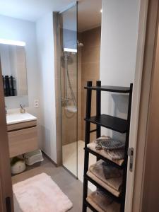 baño con ducha y estante negro con toallas en lectus IV en Nieuwpoort