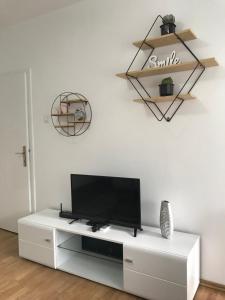 TV a/nebo společenská místnost v ubytování Pavle i Petra II