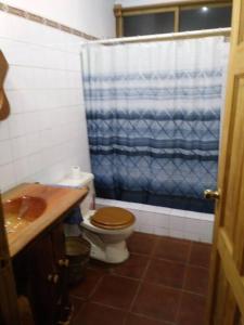 a bathroom with a toilet and a blue shower curtain at Chalet in the Woods in Santiago Atitlán