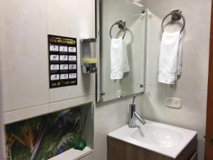 La salle de bains est pourvue d'un lavabo et d'un miroir. dans l'établissement Hotel Boutique el Sol, à Cartago