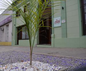 a tree in a pile of rocks in front of a building at Eka Hotel in Nueva Palmira
