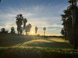 un grupo de palmeras en un campo de golf en Apartamento en Costa Ballena, Urb. Playa Ballena, en Cádiz