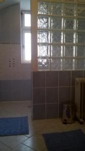 BožanovにあるCountry House U Potokaの窓付きのバスルーム、青い敷物が備わります。