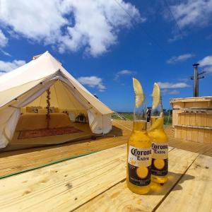 two bottles of corona beer sitting on a table next to a tent at Studholme Glamping in Hunter