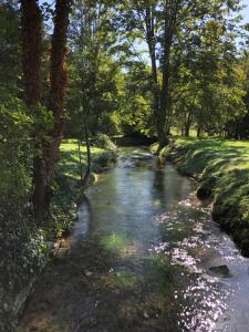 a stream in the middle of a field with trees at Moulin à Eau - Domaine de 3 Hectares - Borne électrique - Chiens acceptés in Hondouville