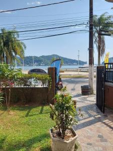 a plant in a pot on the side of a street at Apto frente à praia, aconchegante, vista lateral pro mar! in São Vicente